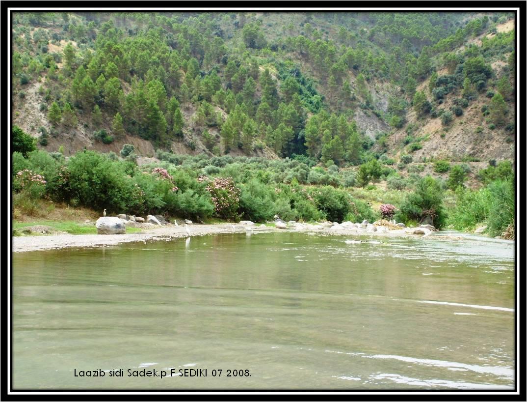 Laazib sidi saed