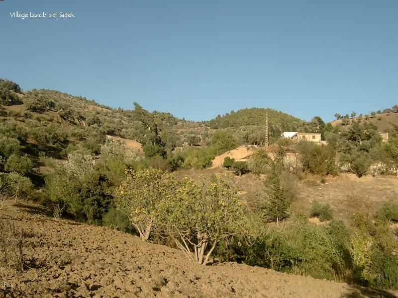 laazib ss 11
